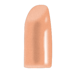 TRX-E Lipsticks by FCO 1