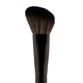 TRX-E Cosmetics Brush Envy (Make Up Brushes)