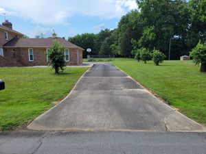 Before Cleaning Driveway